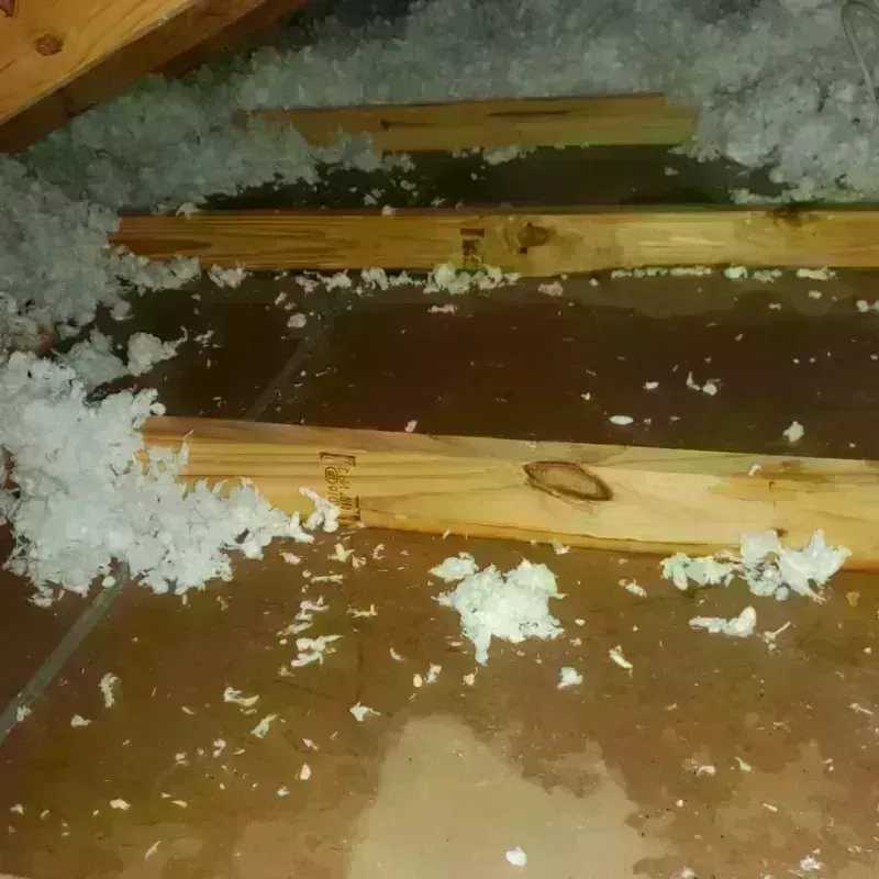 Attic Water Damage in Stratford, CT